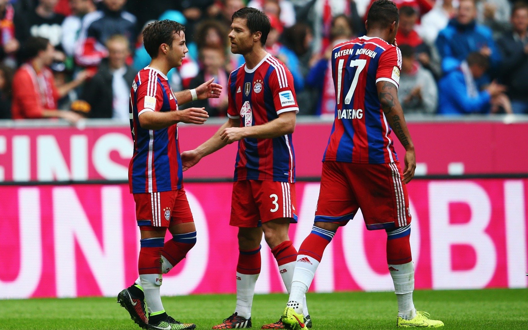 塔图姆首战封神！热火主场MVP呼声震天